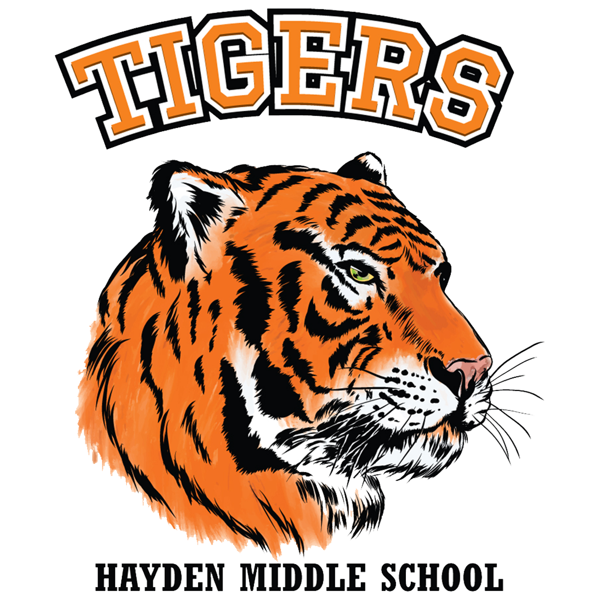 Home Hayden Middle School