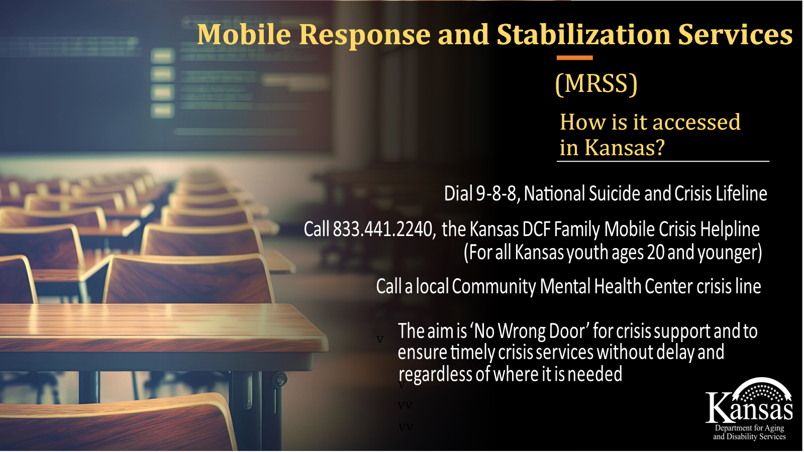 Mobile Response and Stabilization Services