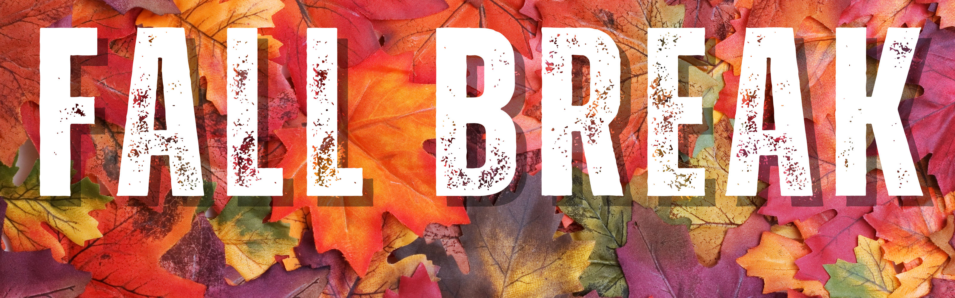 Fall Break October 13 through 17