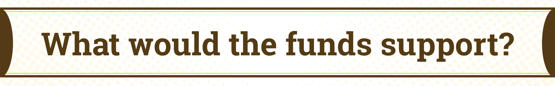 What would the funds support?