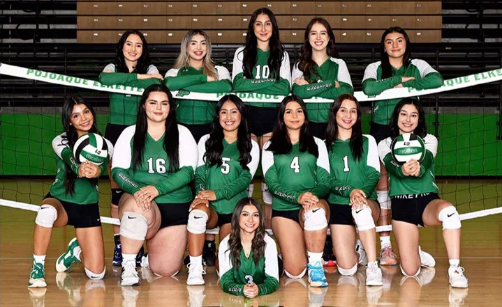 A women's volleyball team in green uniforms posing in a gym with a net behind them.