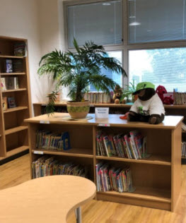 butler library book stands