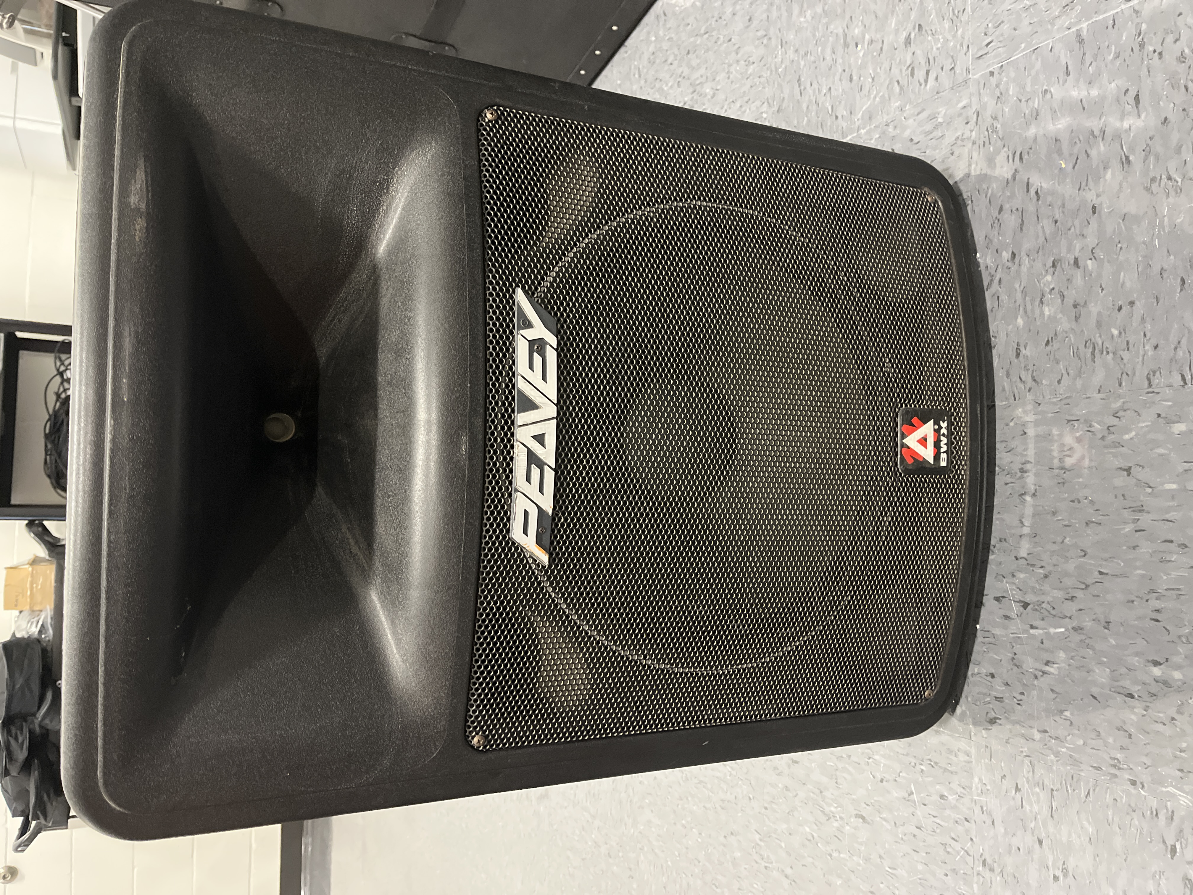 Peavey Speaker