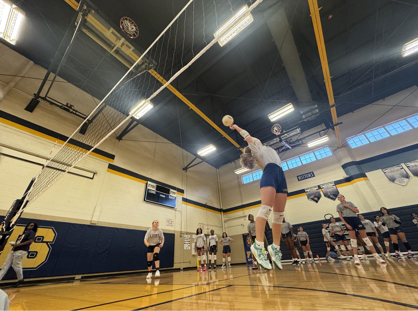 Volleyball