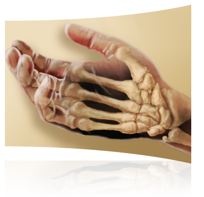 STUDY JAMS (SKELETON) link