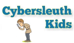 CYBER SLEUTH