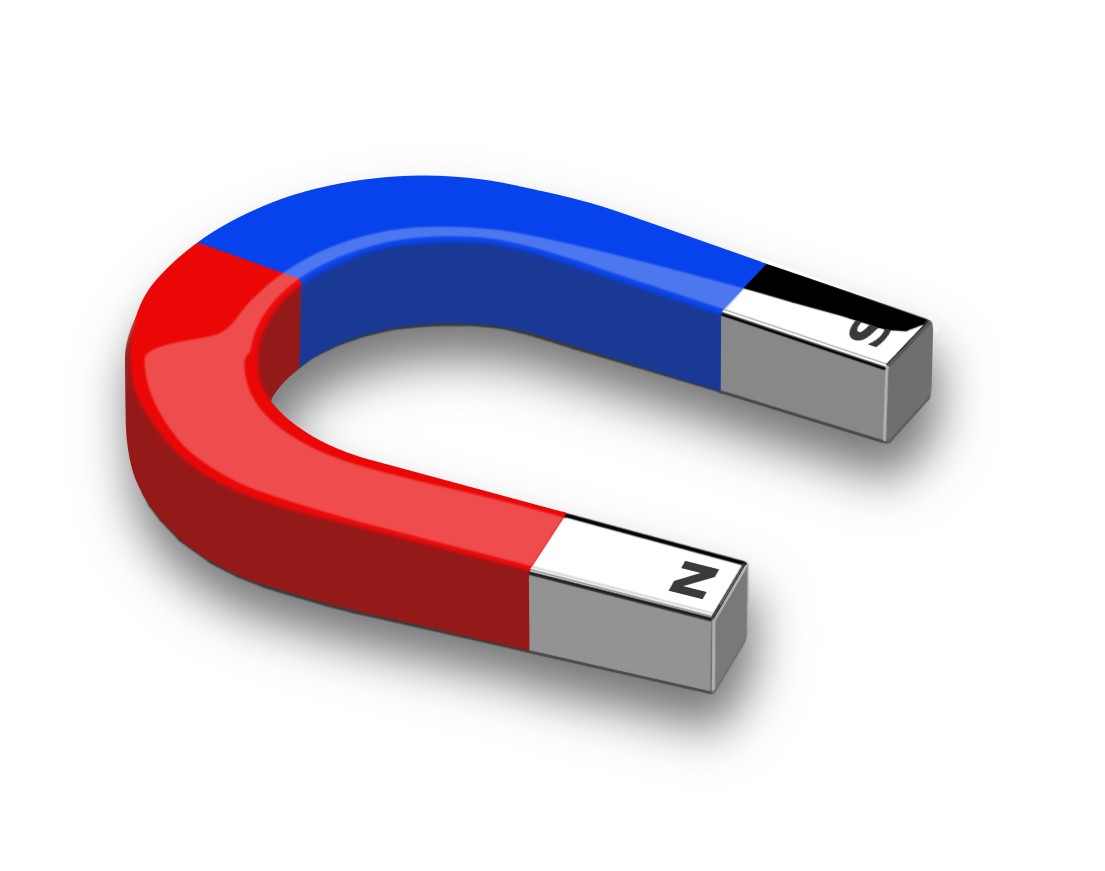 MAGNET WEBQUEST link