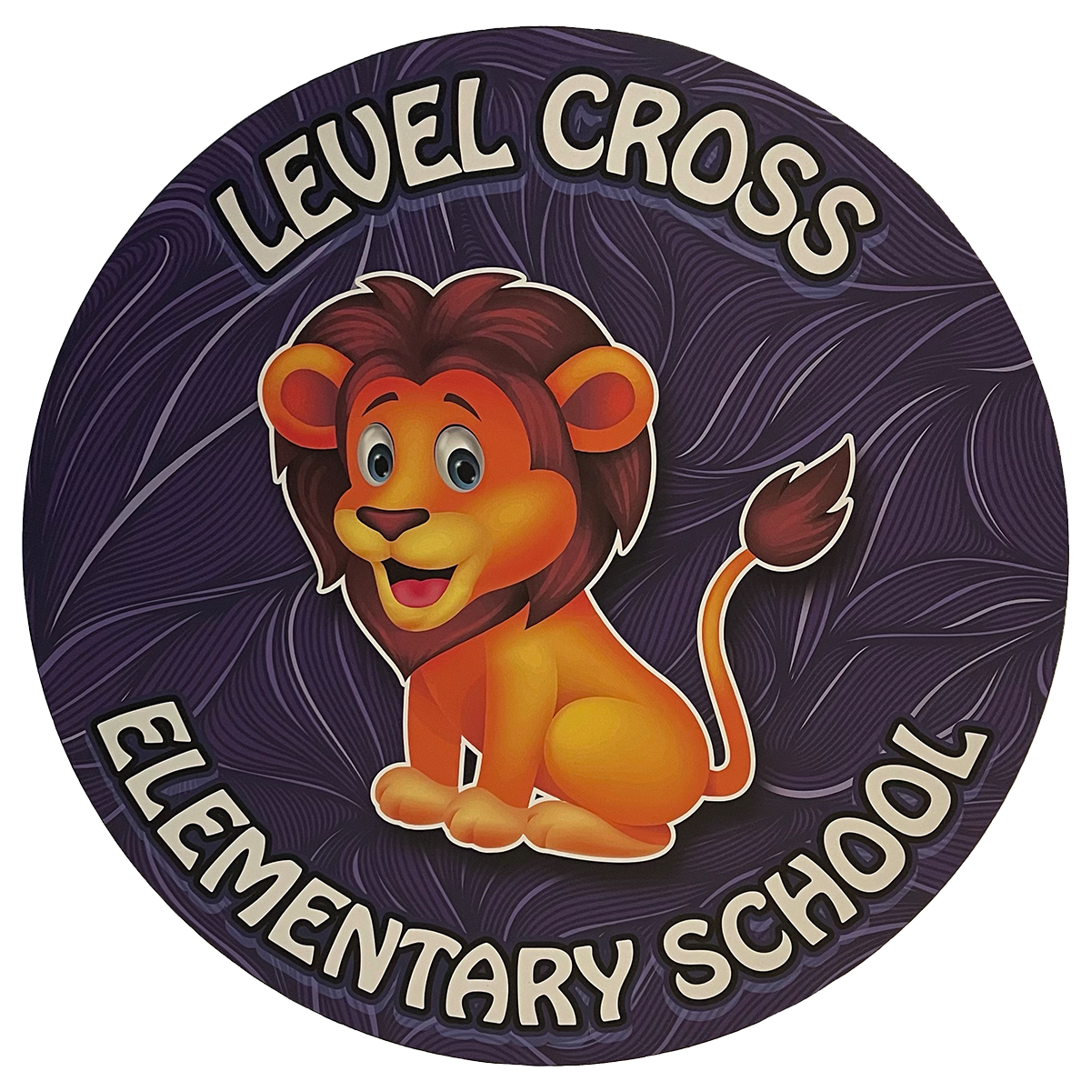 live-feed-level-cross-elementary-school