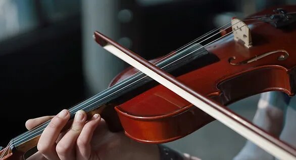 Person playing a violin, focused on hands and strings.