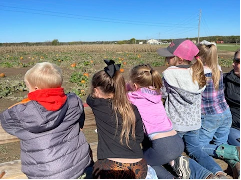 Kids checking out pumpkins in a field.