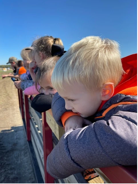 Children watching a cow on a farm.