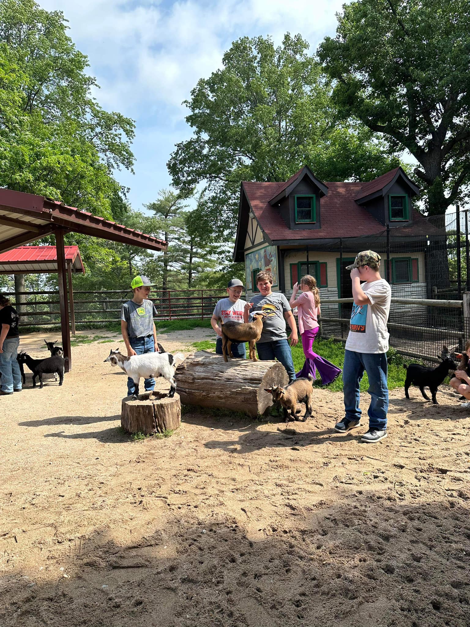 students in a pen with baby goats