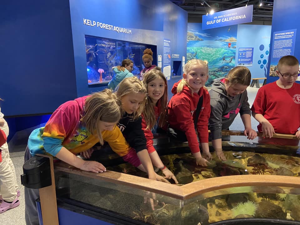 Field Trip to Museum