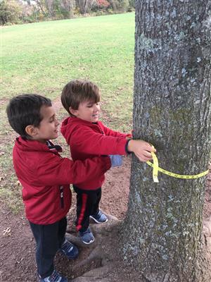 Preschool students doing activities