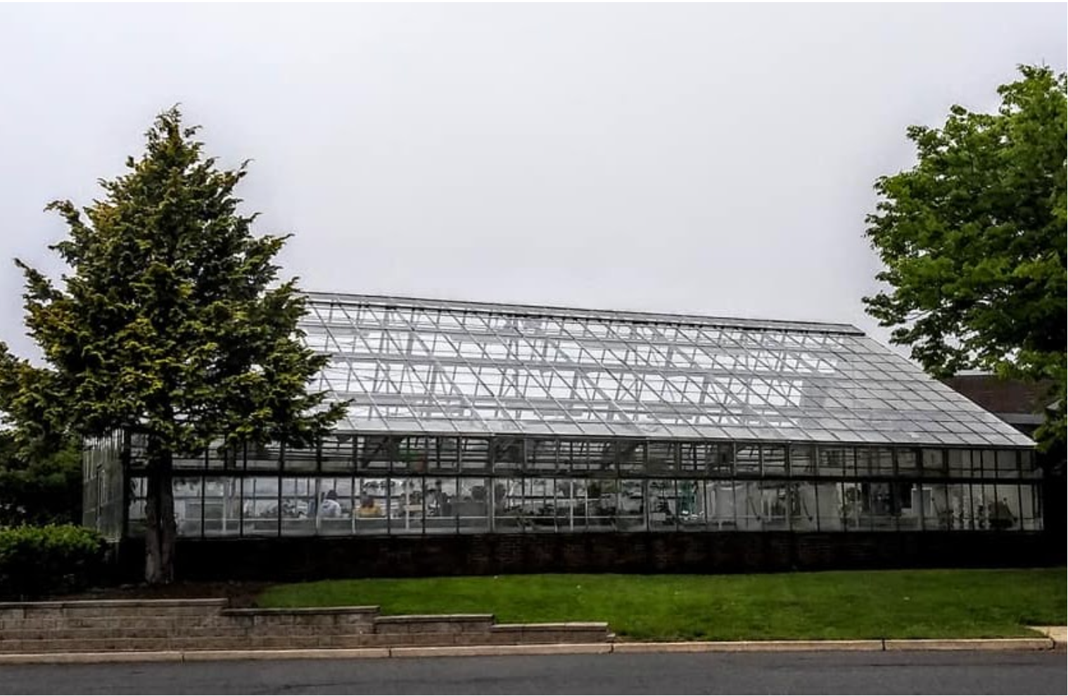 Horticulture Floral Greenhouse