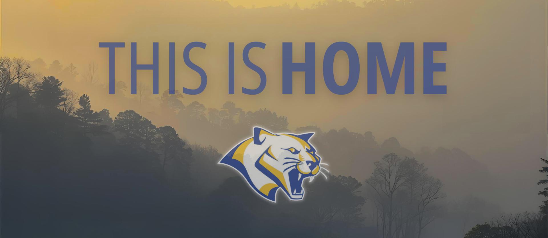 THIS IS HOME