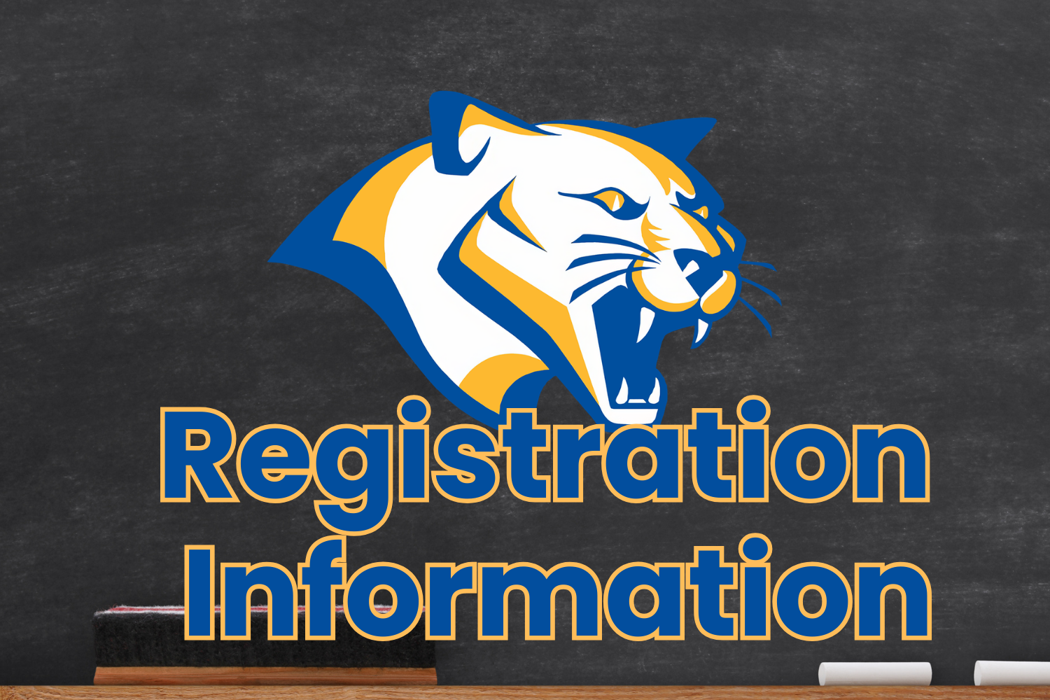 registration information