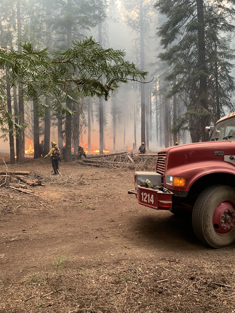 Firefighters working on the woods