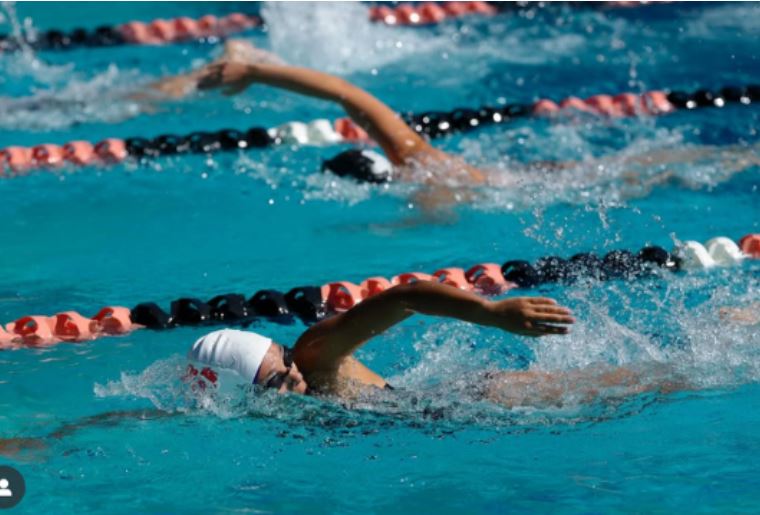 Swim