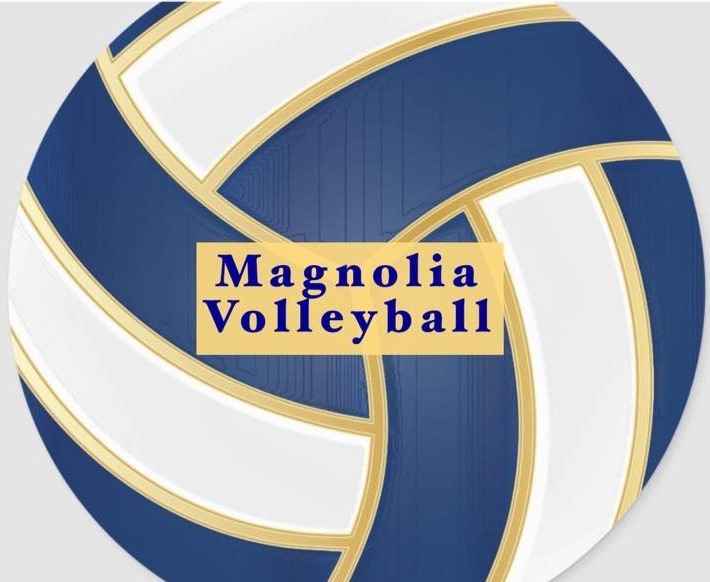 Blue and gold Volleyball for Magnolia