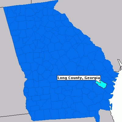 Picture of the state of Georgia with Long County highlighted