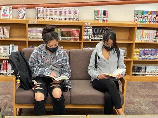Students sitting at a library