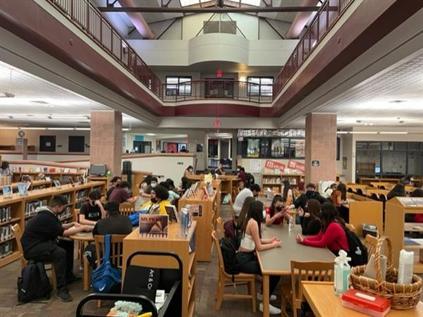 students working in library