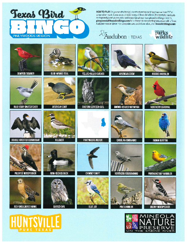 Bird Bingo Pineywoods