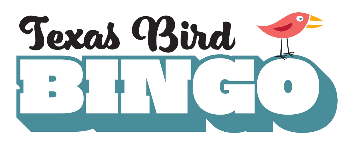 Bird Bingo banner