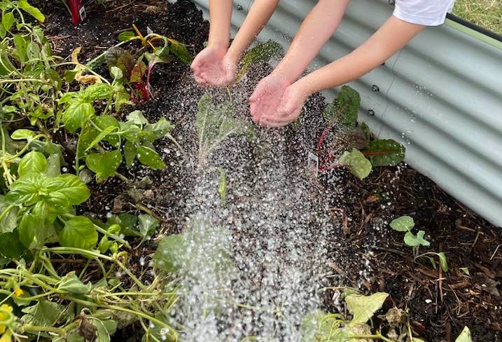 kids at pop garden