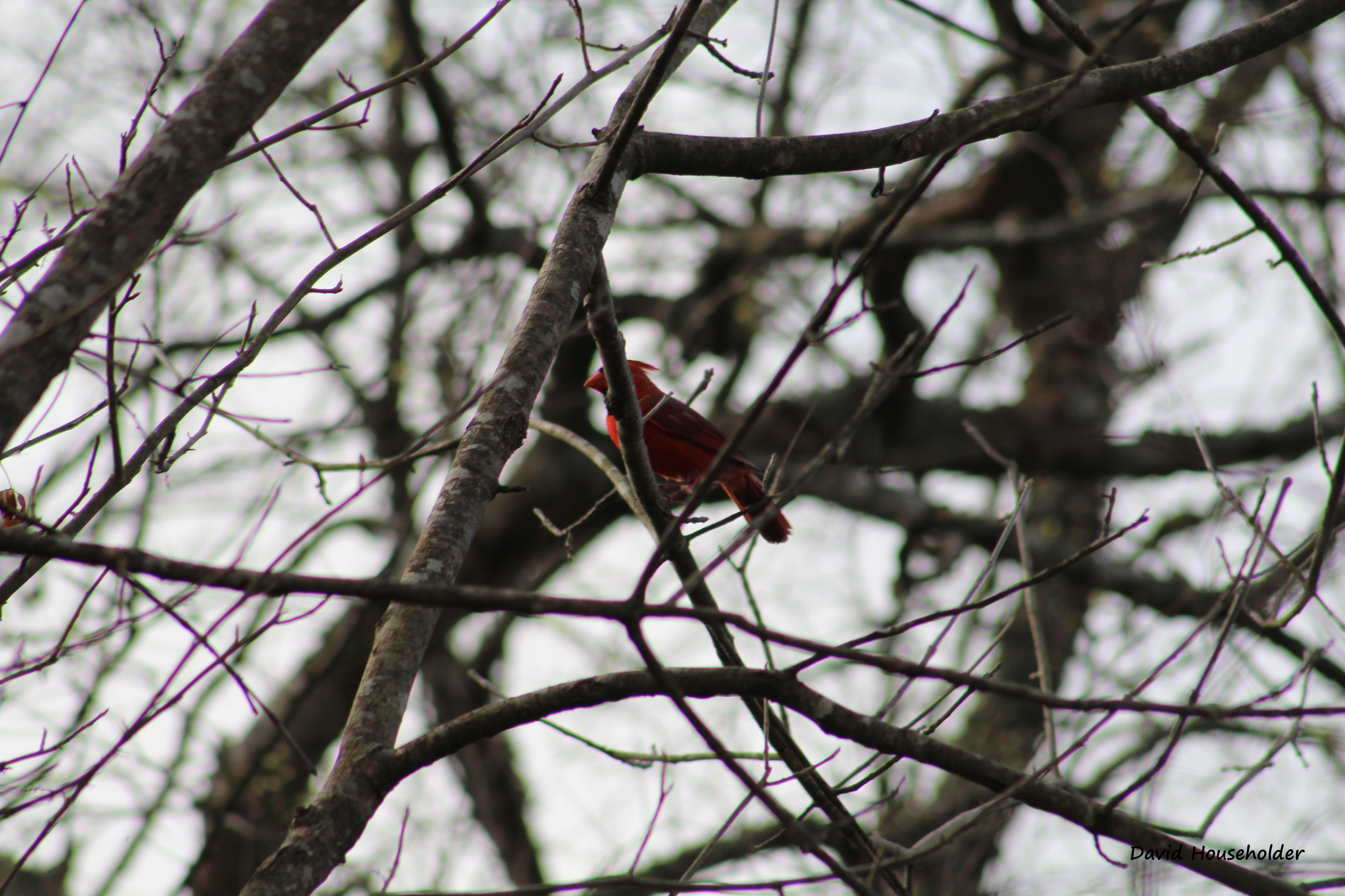 Nature Preserve Picture