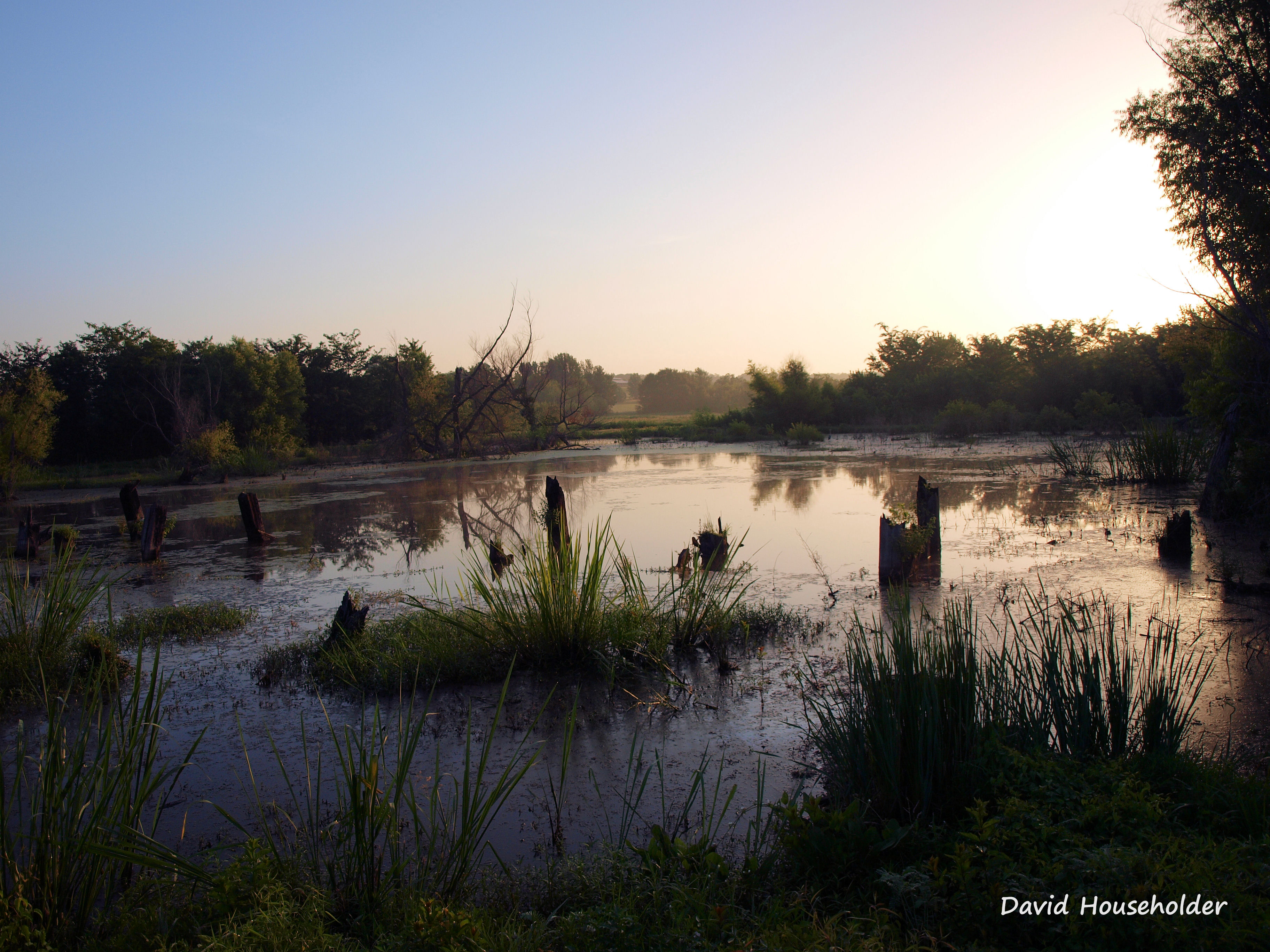 Nature Preserve Picture