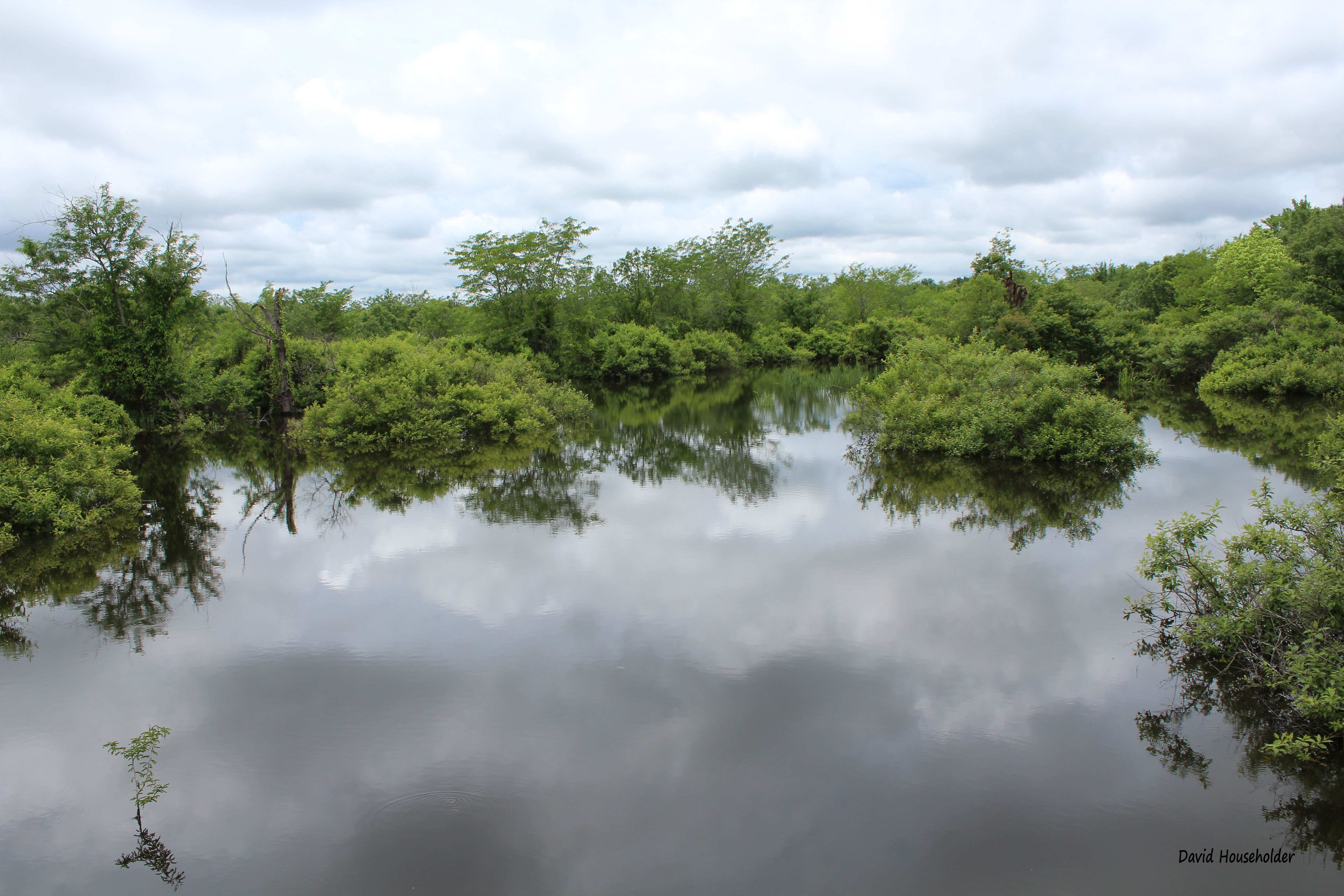 Nature Preserve Picture