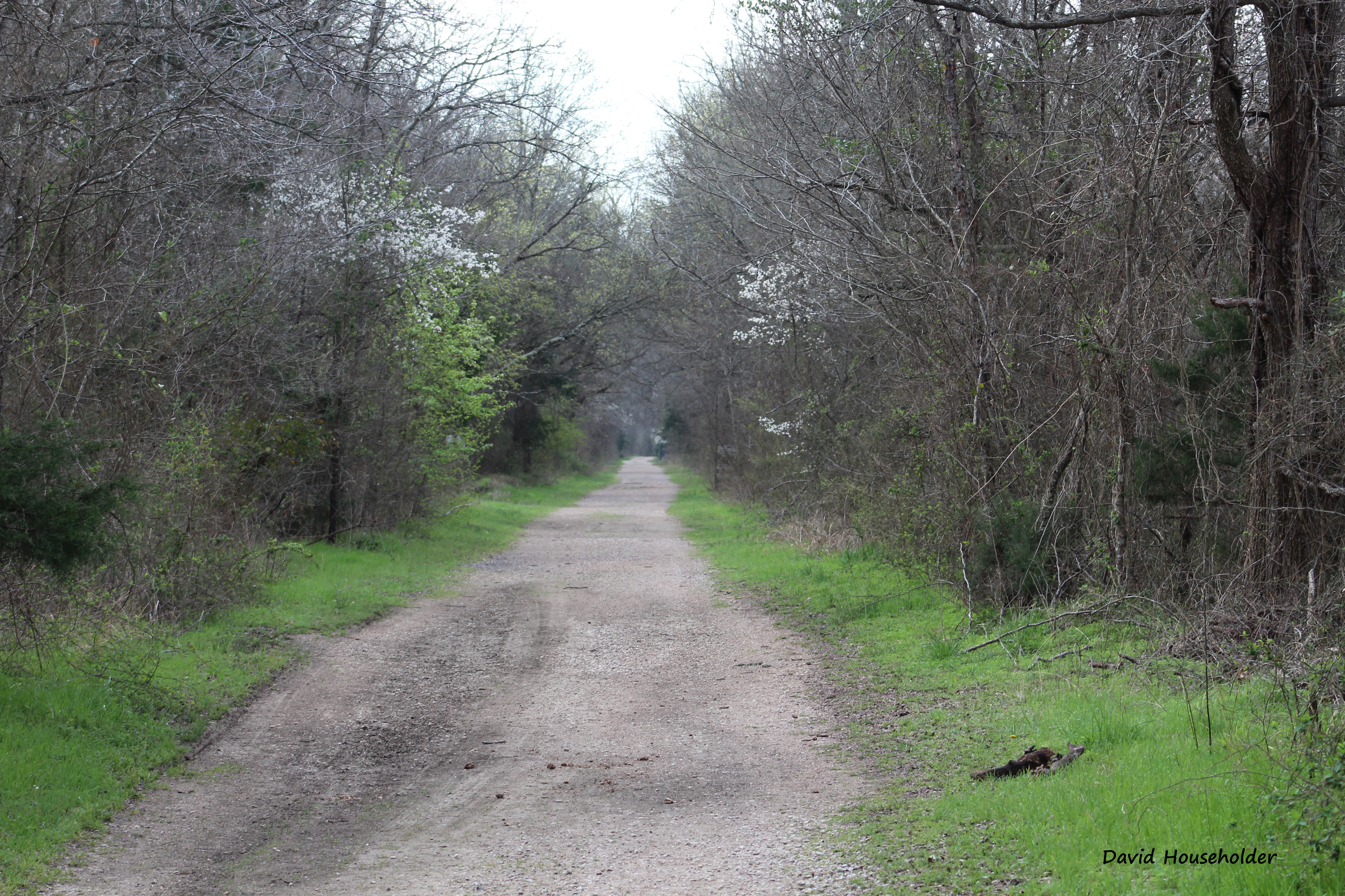 Nature Preserve Picture