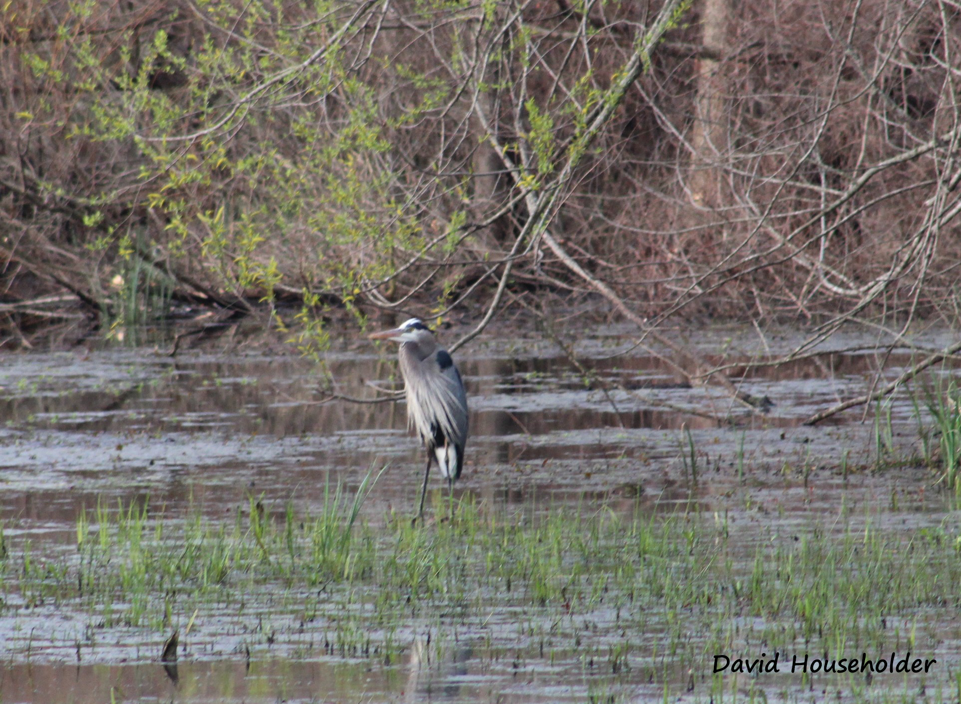 Nature Preserve Picture