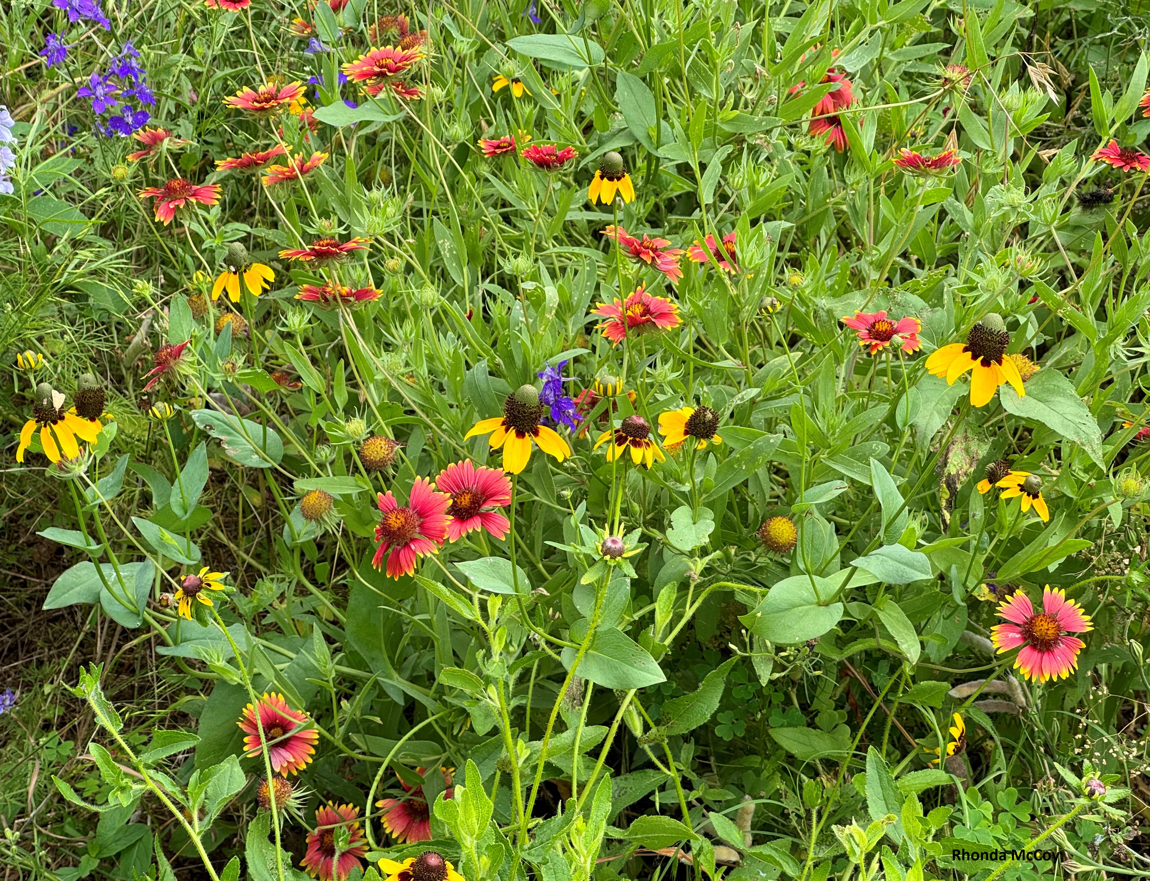 Nature Preserve Picture