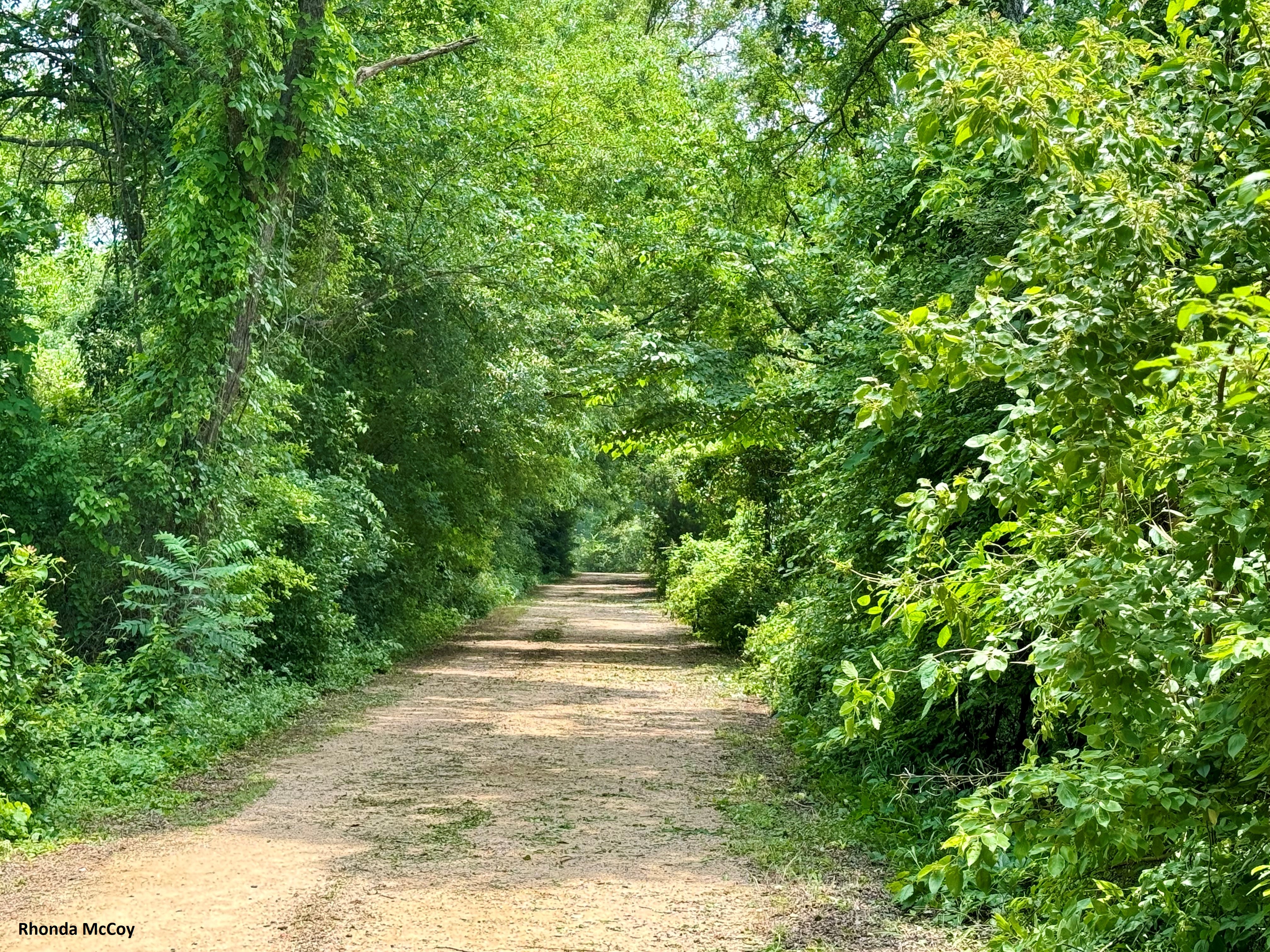 Nature Preserve Picture