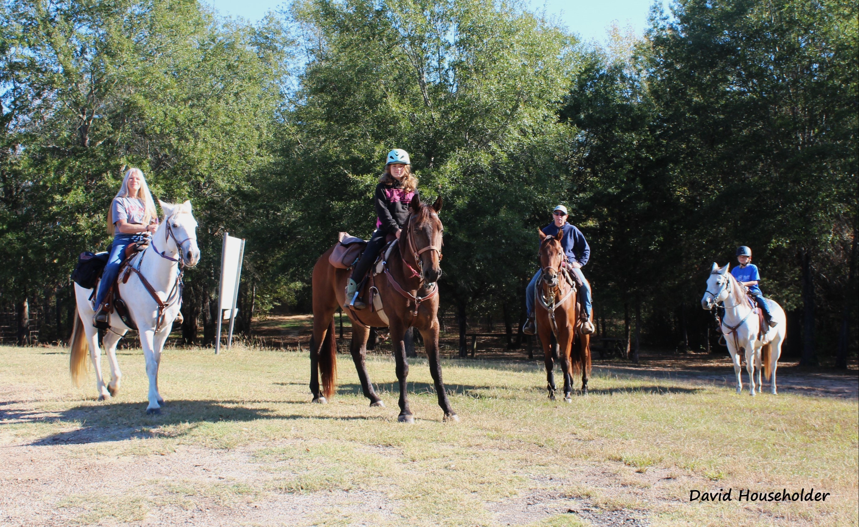 equestrian