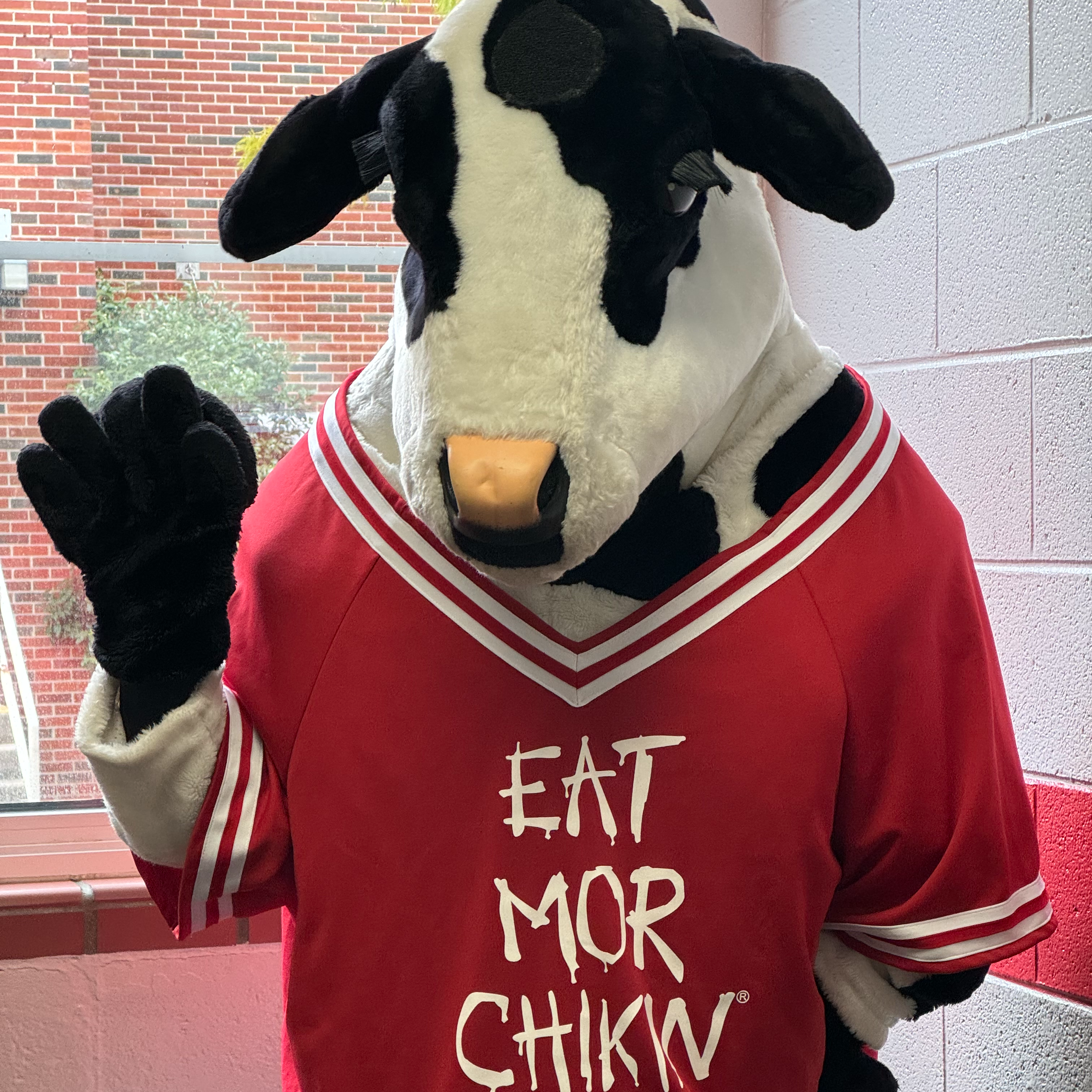 The Chick Fil A Cow