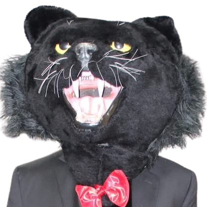 PAWs the Panther