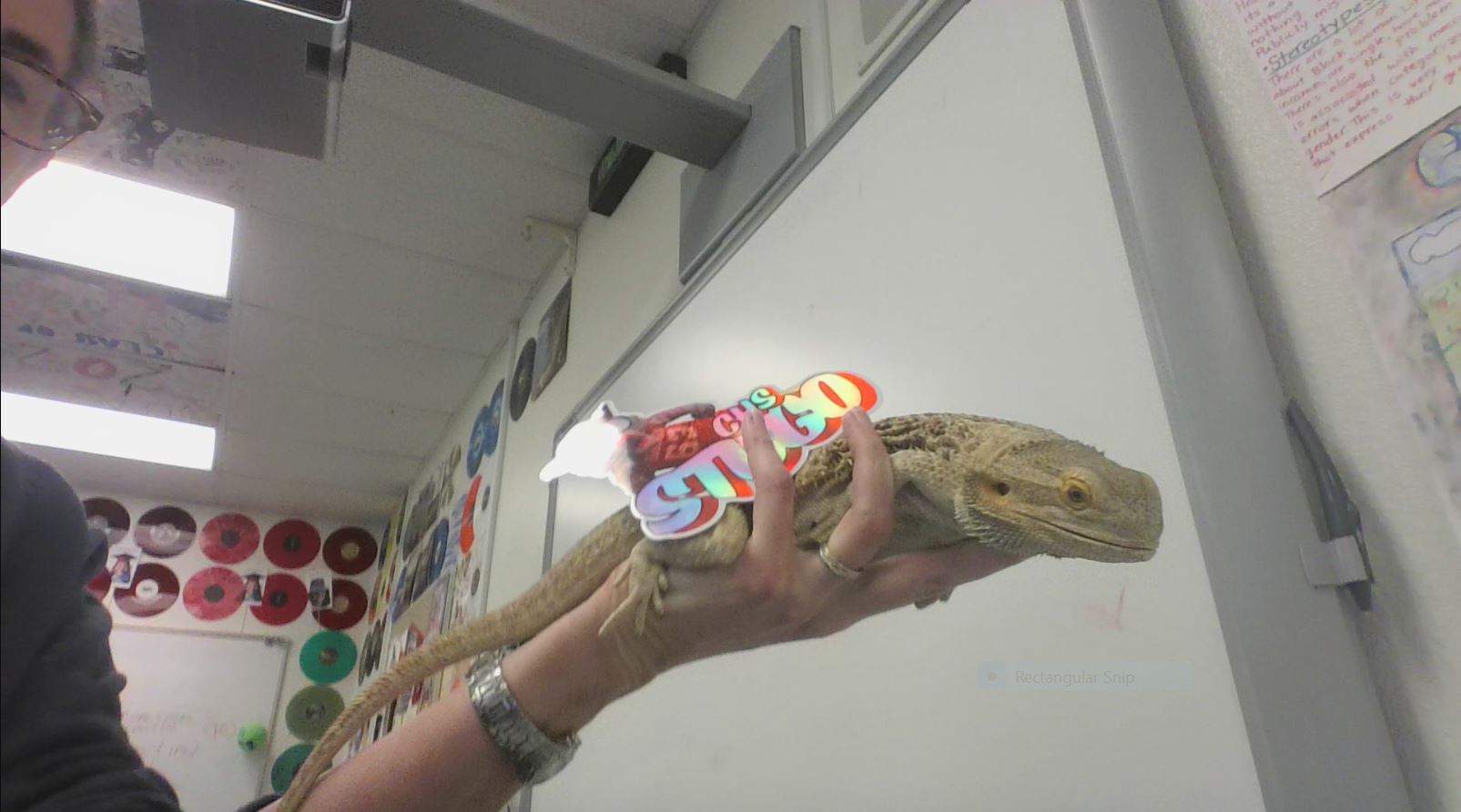 Dragon Lizard and a hand