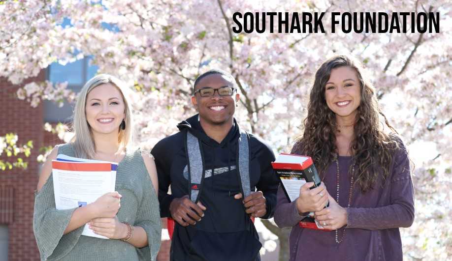 southark foundation