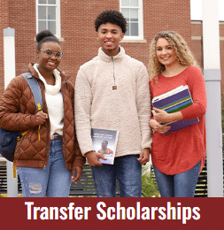 Transfer Scholarships