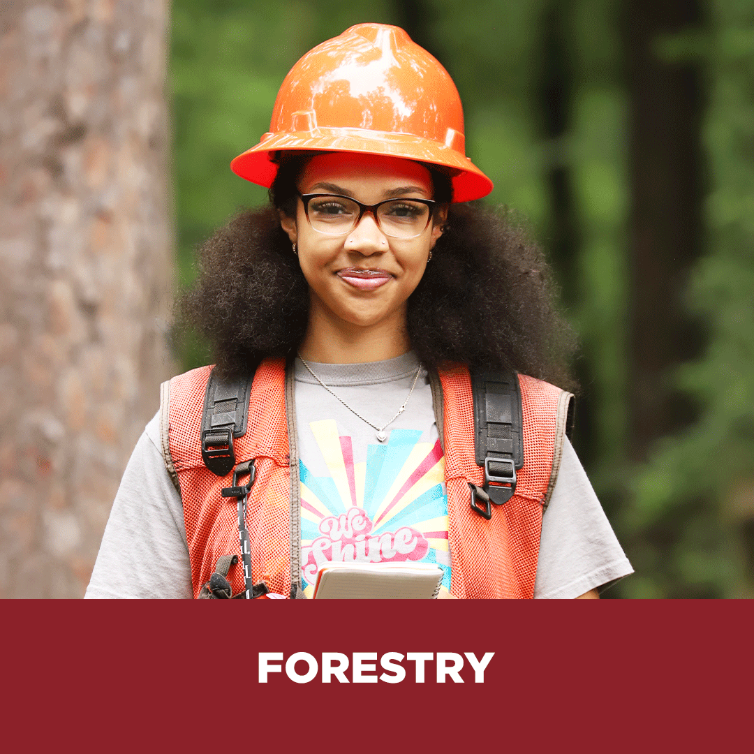 Forestry