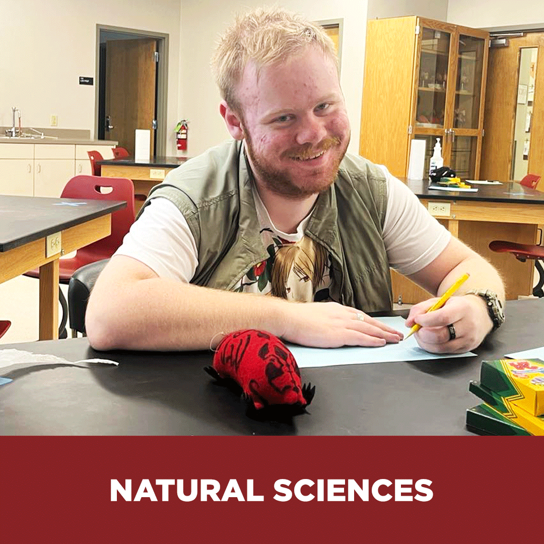 Natural Sciences