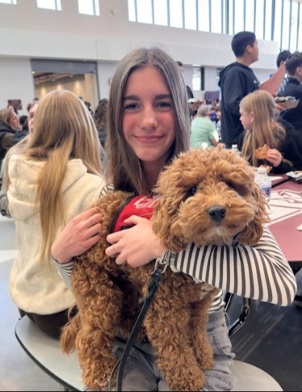 Franny the therapy dog