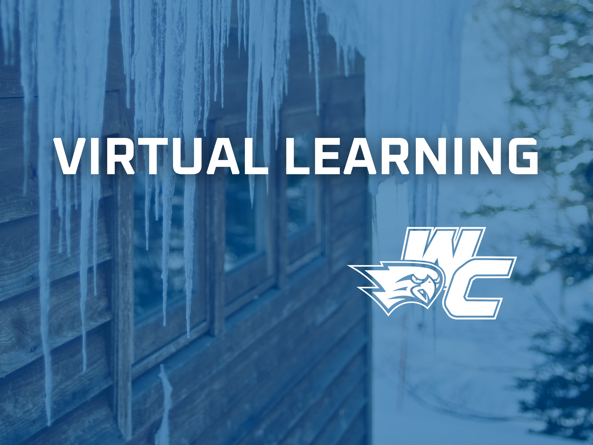Virtual Learning