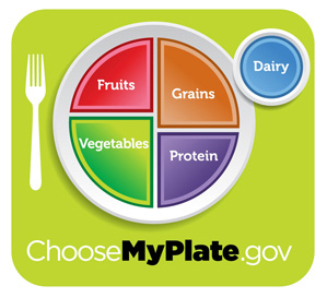 Fork and a plate divided into 4 quadrants