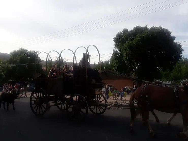 A man driving a horse-drawn carriage through a parking lot.