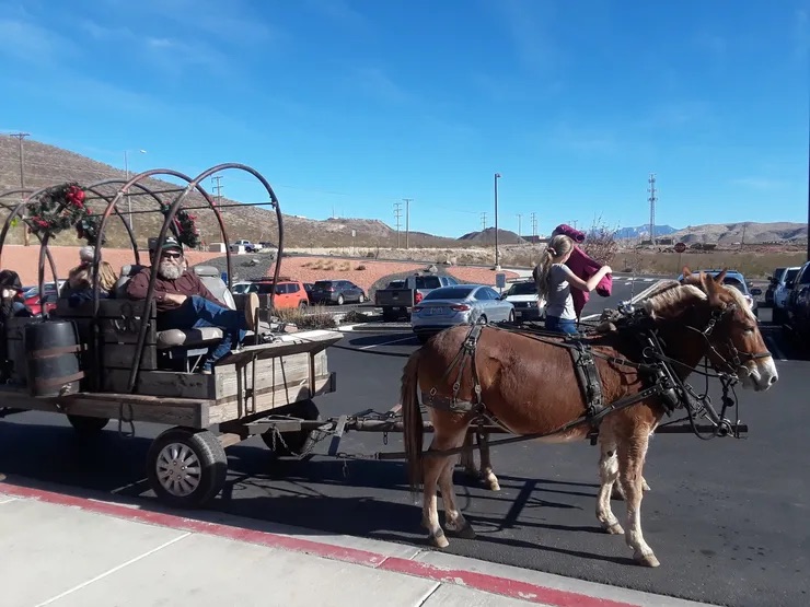 A woman riding a horse-drawn wagon through a parking lot in front of the Vale Academy building.